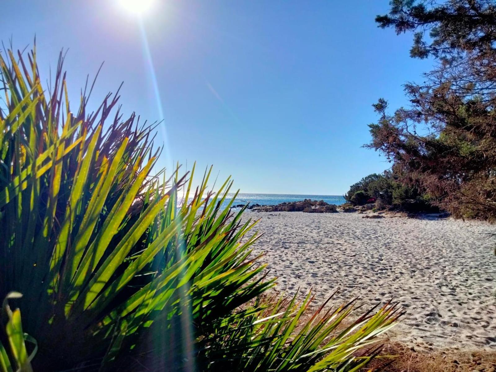 Vila Zenour Cala Liberotto Exteriér fotografie